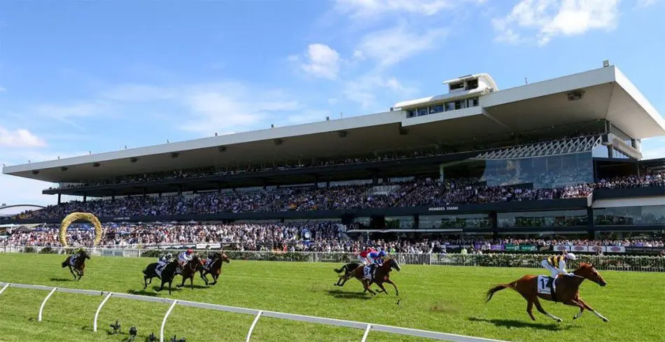 Black Book: Horses You Must Follow From Rosehill 31/1 Image