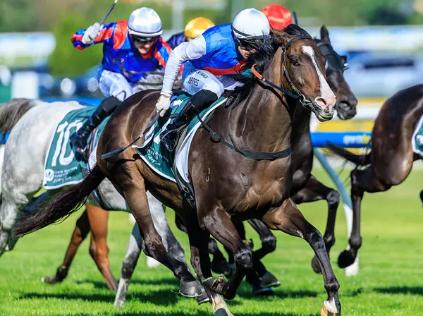 WISE MOVE BY MCEVOY PAYS OFF Image