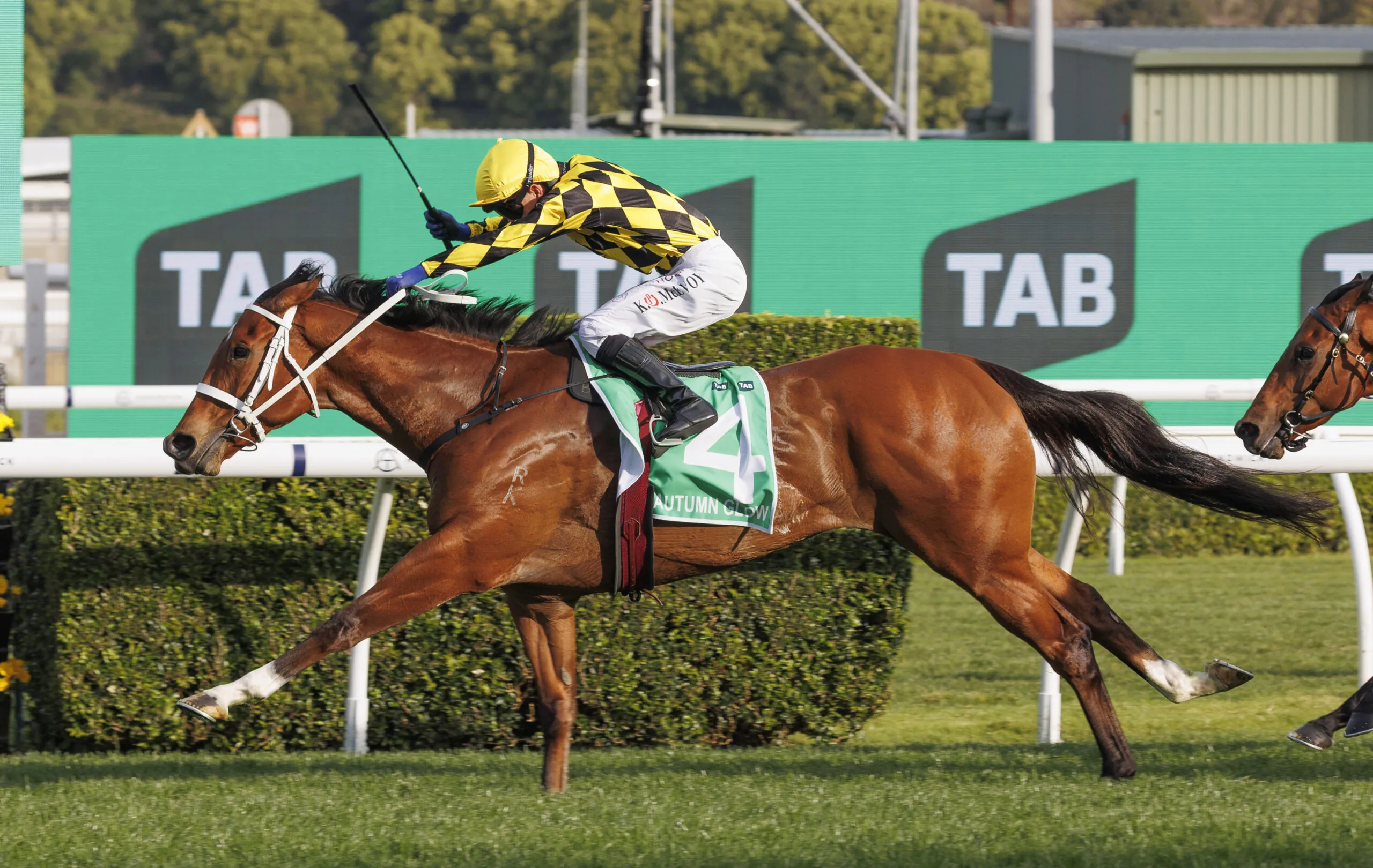 RACING: Randwick Tips – Saturday 11th April Image