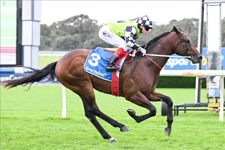 BUGGSY READY TO FLY AT CAULFIELD Image