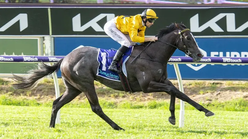 BEL ESPRIT STAKES IS BIG FOR BUSTLING AND BELL Image