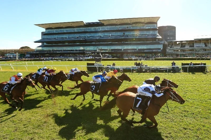 RACING: Kensington Best Selection & Value Play 10/6 Image