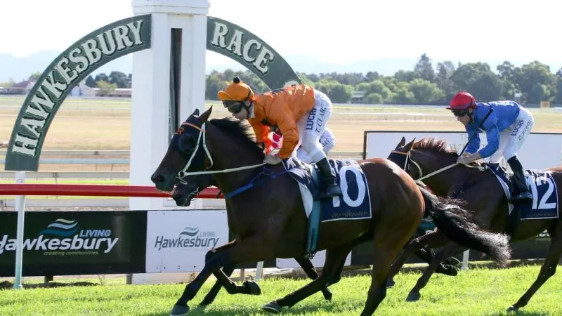 RACING: Hawkesbury Best Selection & Value Play 2/5 Image