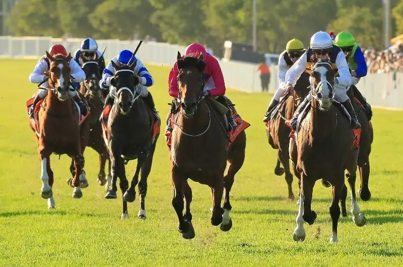 RACING: Hawkesbury Best Selection & Value Play 8/4 Image