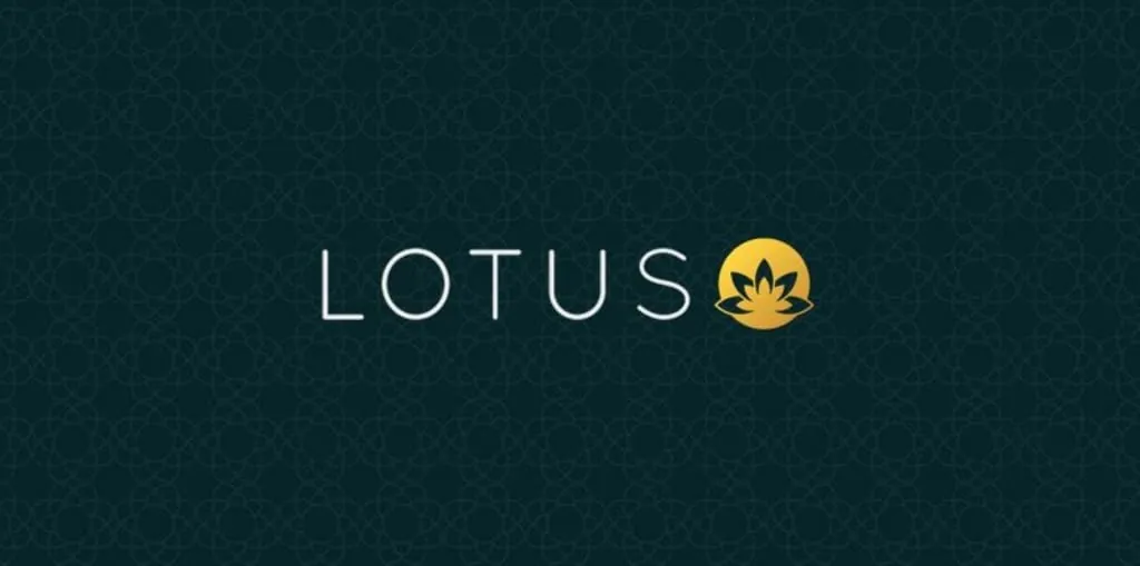 How Lotus 365 Organizes Live Sports Data and Match Updates Image