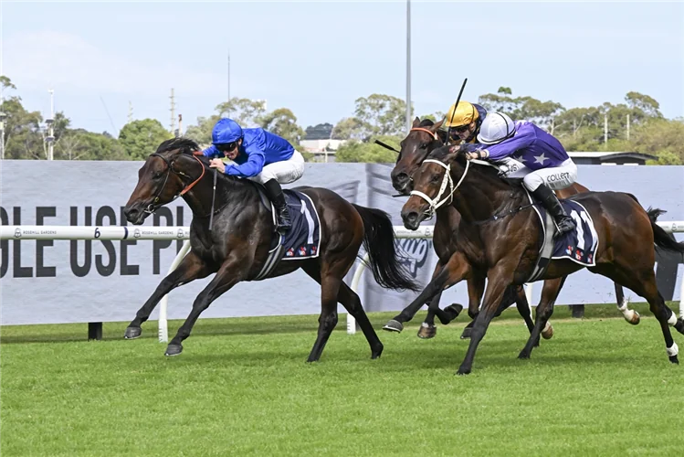 Racing Market Movers: Which Horses Have Been Backed This Saturday 14/3 Image