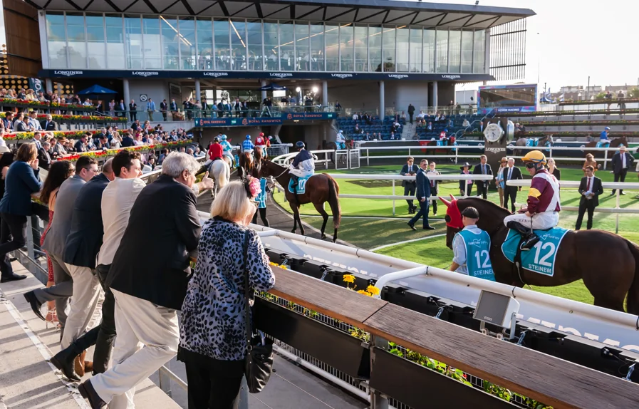 What Posido Experts Think About the Psychology of Gambling Image