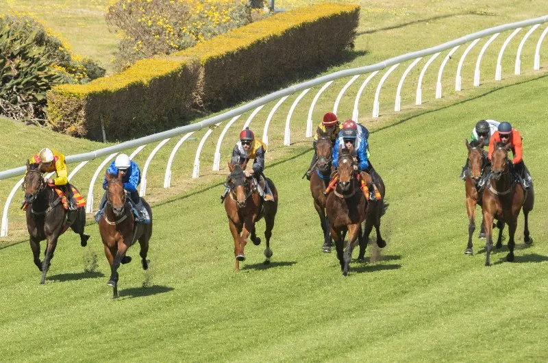 Trial Review: Horses That Caught The Eye At The Trials This Week 10/4 Image