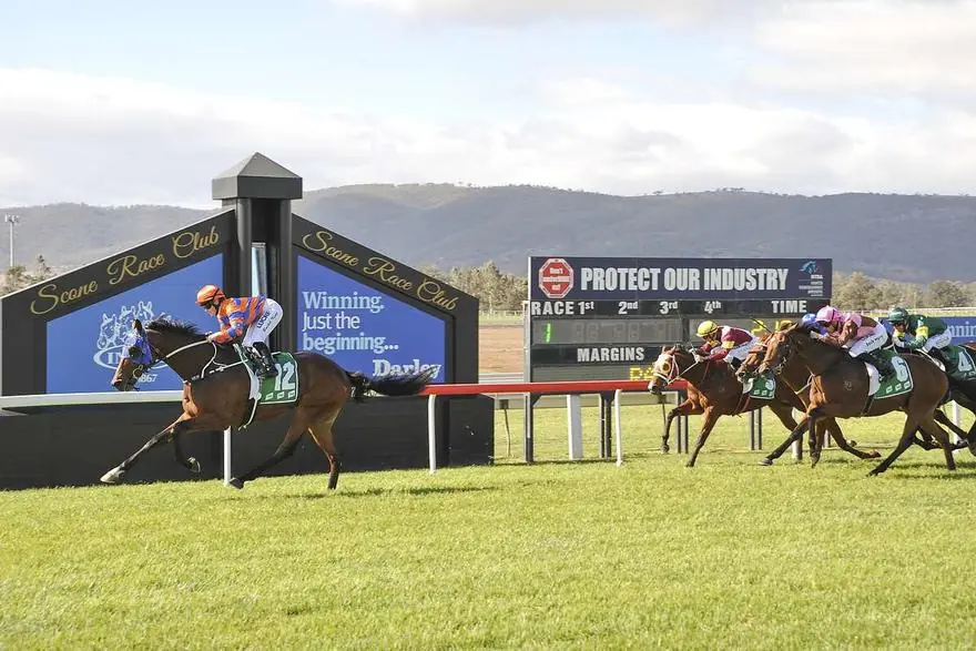 Black Book: Horses You Must Follow From Scone 16/5 Image