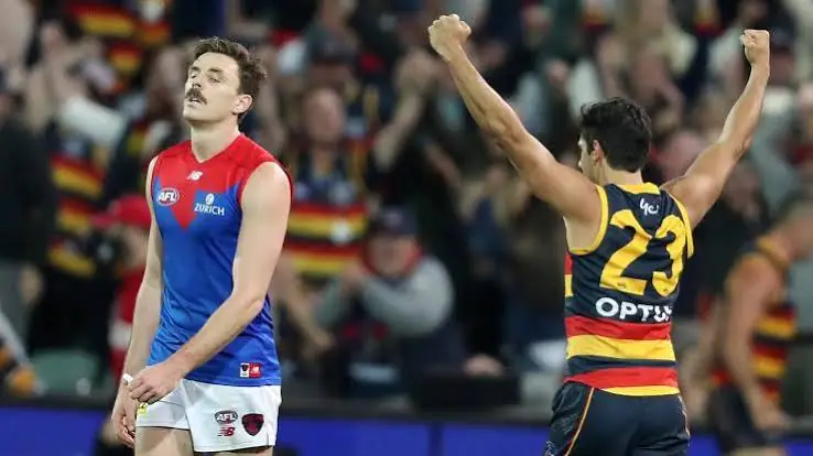 AFL: Adelaide vs Melbourne – Match Insights & Our Tips Image