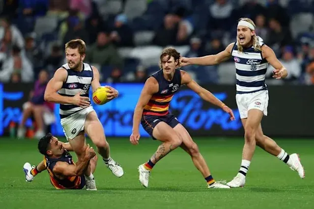 AFL: Adelaide Crows Vs Geelong Cats – Match Insights & Our Tips Image