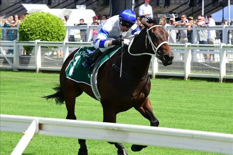 RACING: Eagle Farm Tips – Saturday 13/6 Image