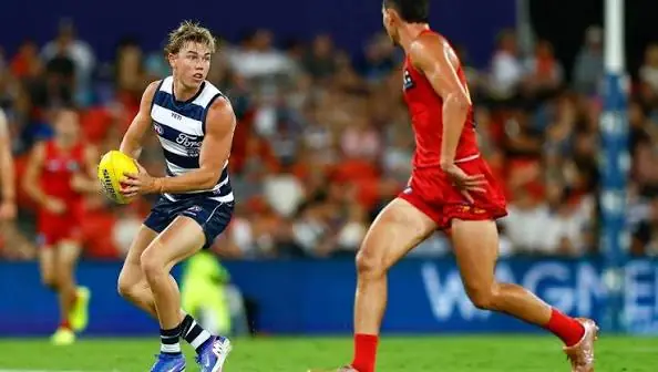 AFL: Geelong vs Gold Coast – Match Insights & Our Tips Image