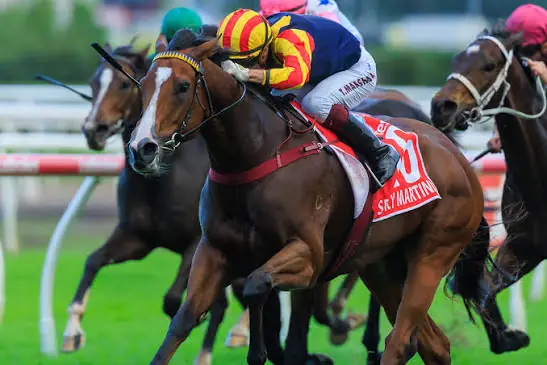 Stradbroke Star Spicy Martini Eyes Everest Dream After Brisbane Triumph Image