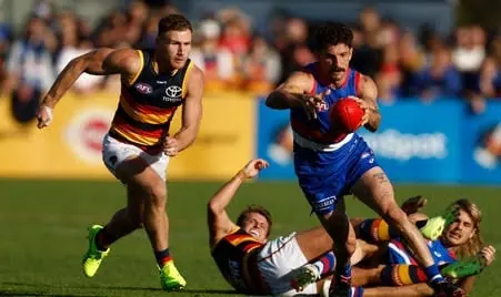 AFL: Western Bulldogs vs Adelaide Crows – Match Insights & Our Tips Image