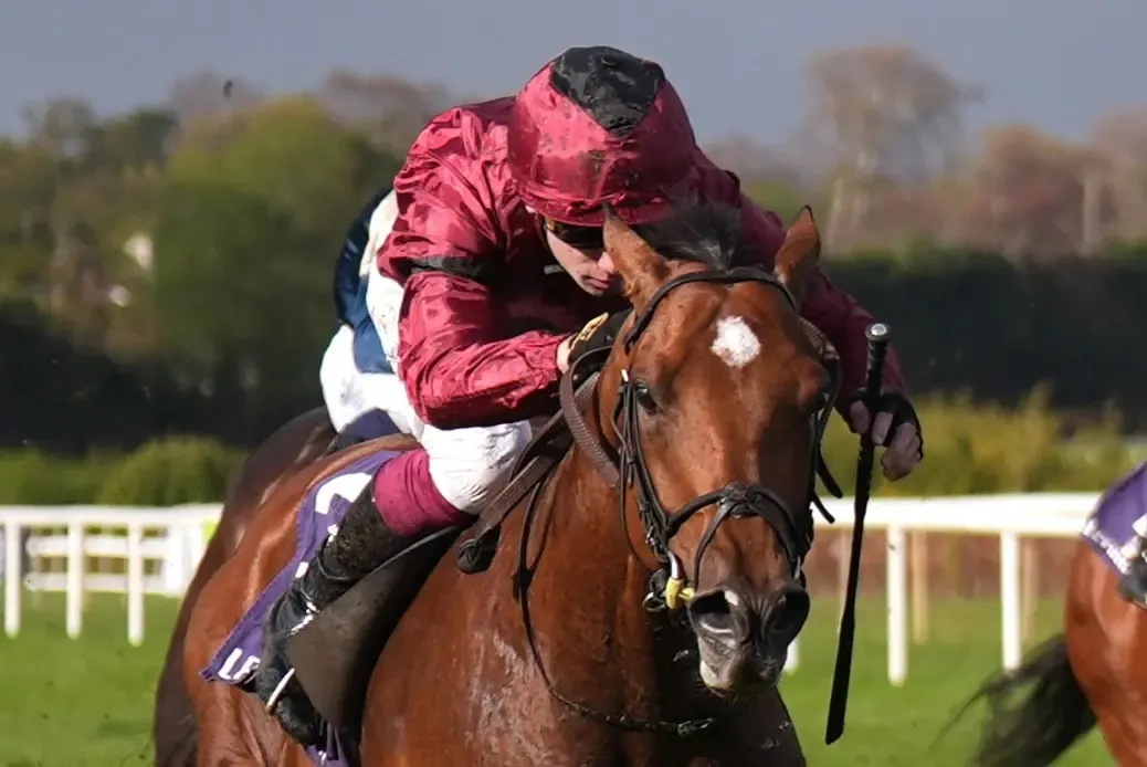 RACING: Ciaron Maher Lands $5 Million International Star to Chase Cox Plate Glory Image