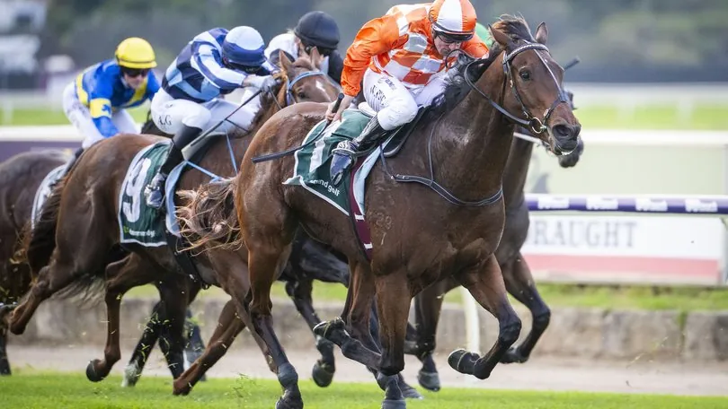 RACING TIPS: Belmont – Saturday 11/7 Image