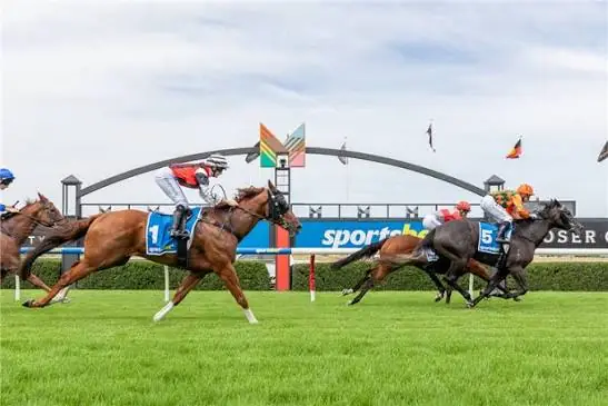 RACING TIPS: Morphettville – Saturday 11/7 Image