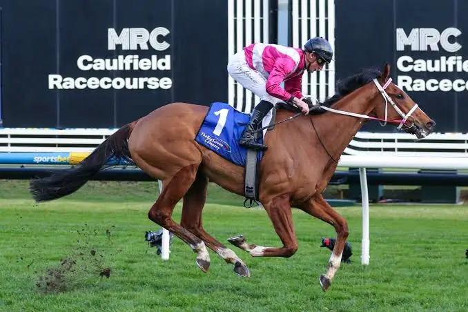 RACING: Stackhouse Excited For Spring Crusade Image
