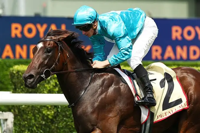 RACING: Australia’s $5.6 Million Filly Returns as Spring Targets Revealed Image