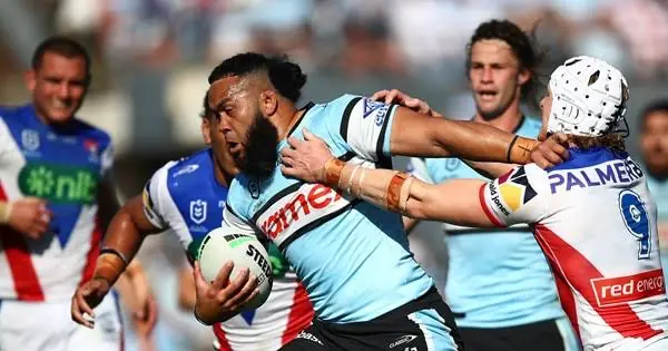 NRL Team Lists: Sharks Vs Knights – The Biggest Betting Impacts From Team Lists Image