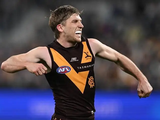 AFL: Hawthorn Star Learns Fate Over Infamous Arizona Cherry Picker Incident Image