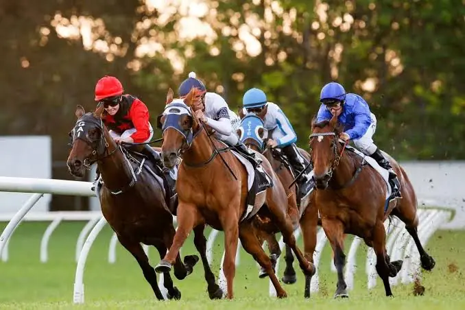 Wednesday Tips: Horses Racing From Our Black Book 8/7 Image