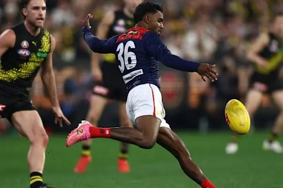 AFL: Demons vs Tigers – Match Insights & Our Tips Image