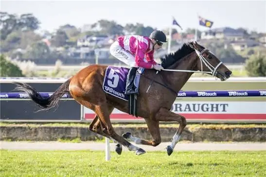 RACING: PERTH’S CRUSADE HEADS TO CAULFIELD Image