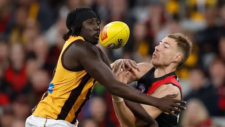 AFL Team Lists: Hawthorn Vs Essendon – The Biggest Betting Impacts From Team Lists Image