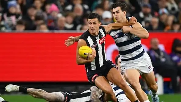 AFL: Collingwood Vs Geelong – Match Insights & Our Tips Image