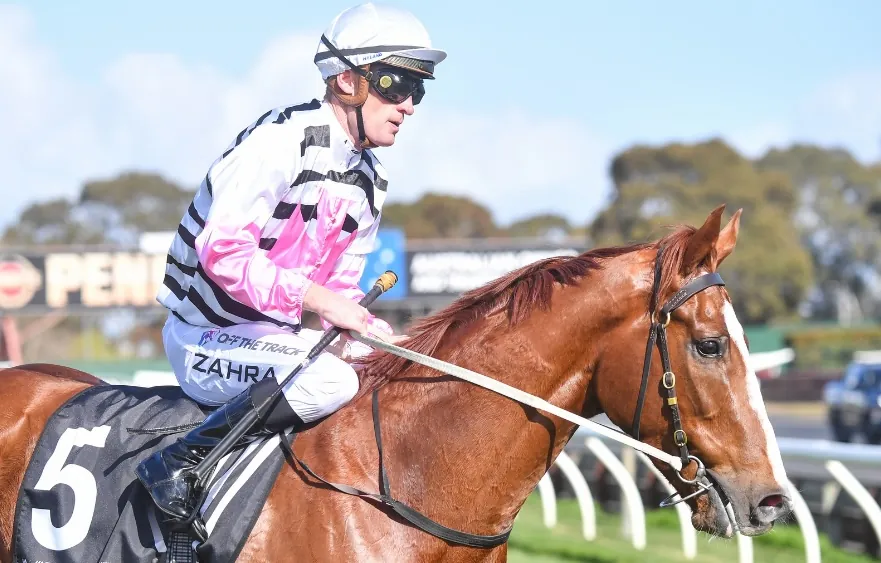 RACING: Mick Price Believes One Forgotten Star Could Be One of the Spring Carnival’s Biggest Stories Image