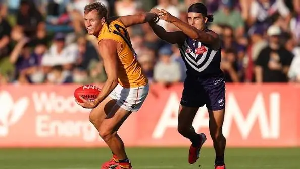 AFL: Fremantle vs Adelaide – Match Insights & Our Tips Image