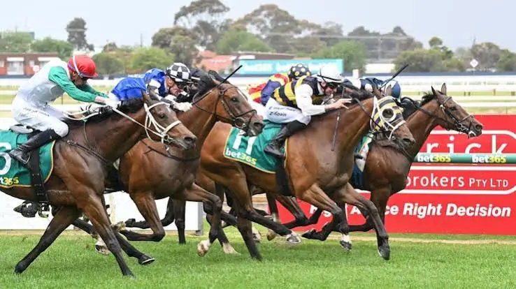 RACING: Geelong Best Bets – Friday 14/8 Image