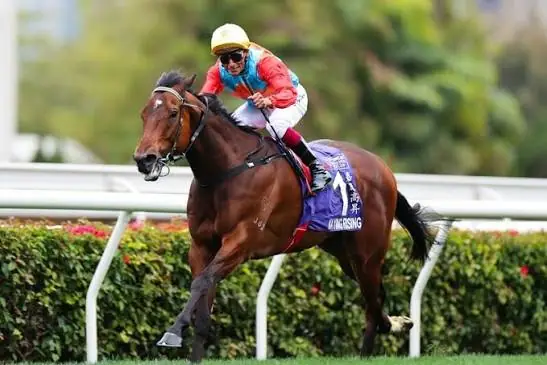 Racing: “He Handled It Better Than He Did Last Year” Hayes Issues Everest Warning Image