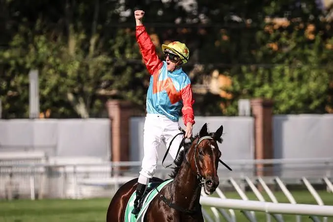 Racing: “This Year, He Will Be Fitter”: Hayes Intensifies Ka Ying Rising’s Everest Preparation Image