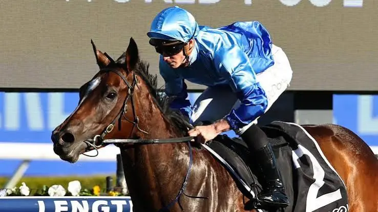 Racing: “Probably Not” Gollan Scraps Pembrey’s Everest Dream for Flemington Group 1 Image