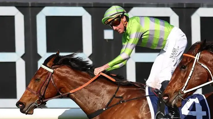 Racing: Savvy Hallie Gets Everest Start in Mulberry Racing’s Slot Image