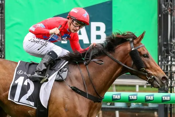 Racing: Mr Monaco Wins Bart Cummings, Books Melbourne Cup Ticket Image