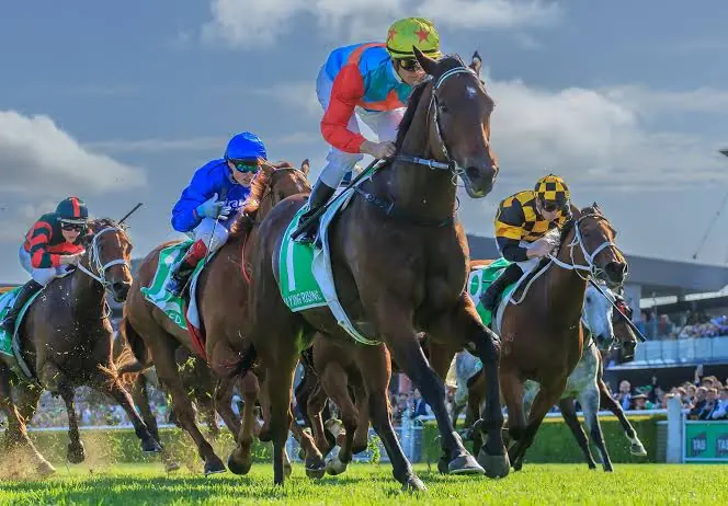 Trial Review: Horses You Must Put In Your Black Book 6/10 Image